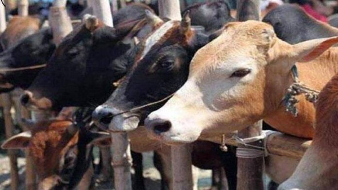 up government
