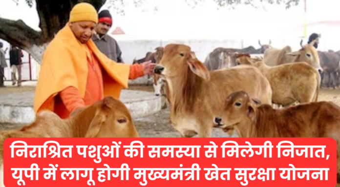 cm yogi