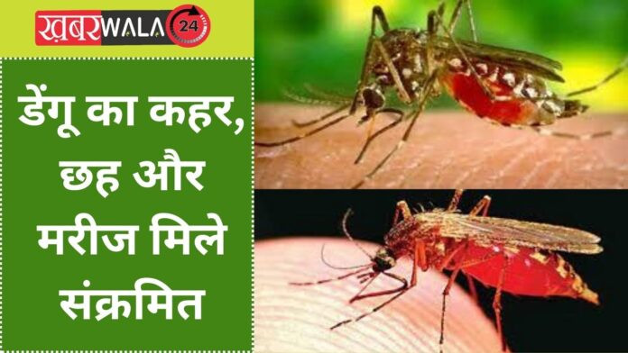 dengue havoc