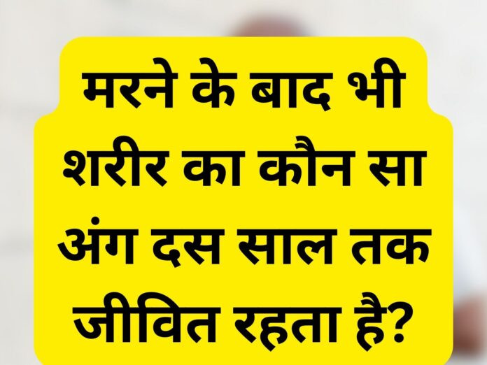 quiz