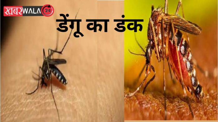 Dengue