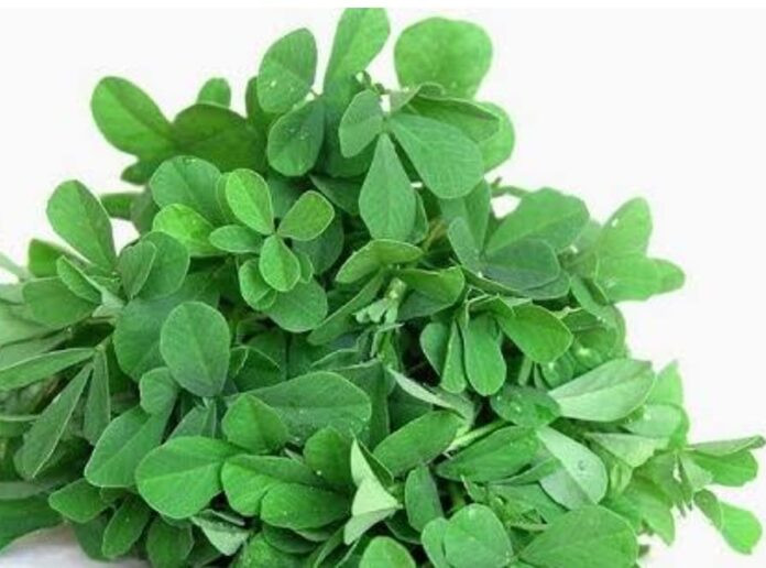 Methi1