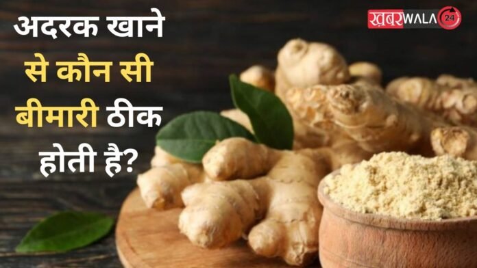 QUIZ General Knowledge