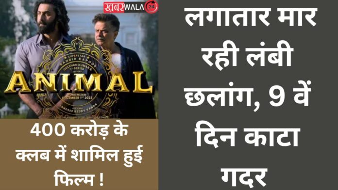 Animal