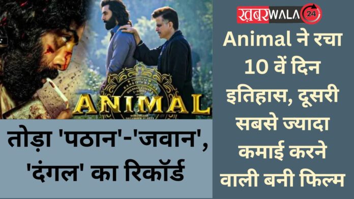 Animal