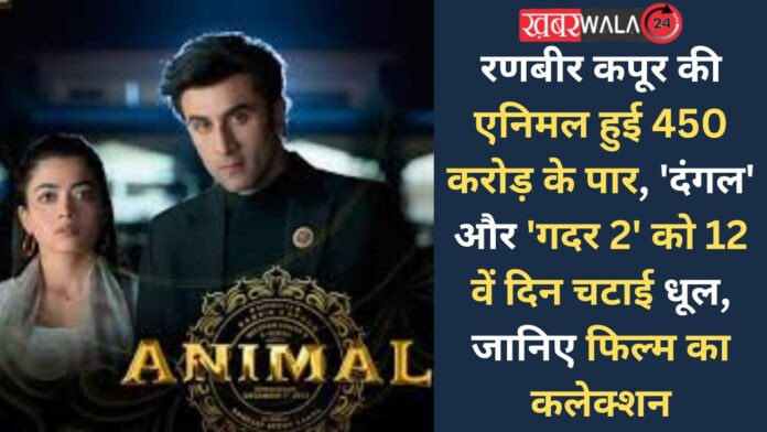 Animal