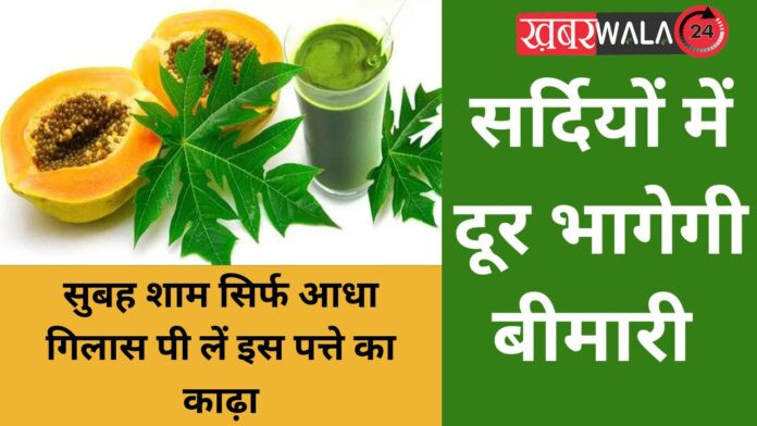 Papaya Leaf Juice