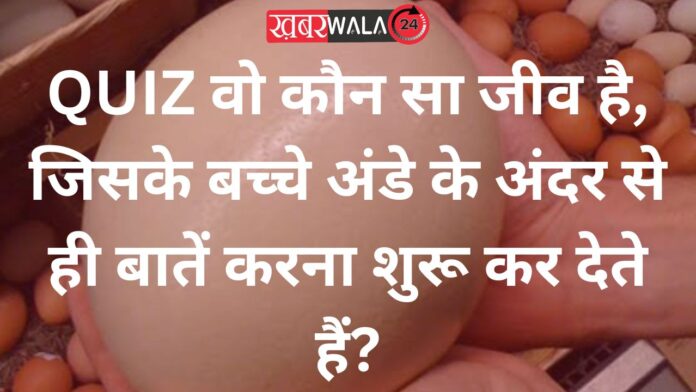 QUIZ