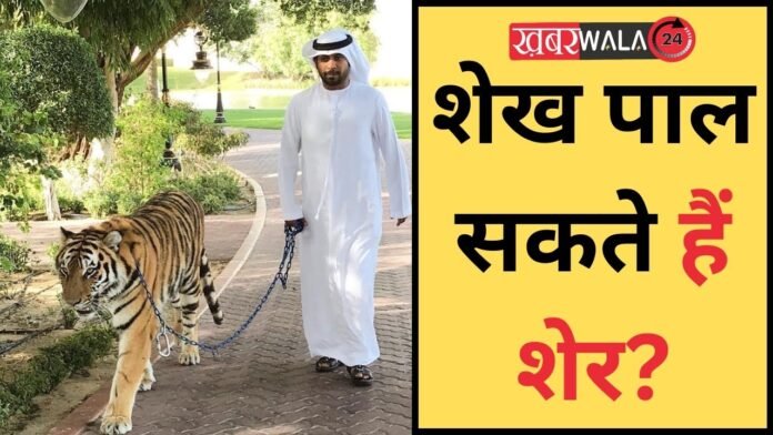 Sheikhs Of Dubai