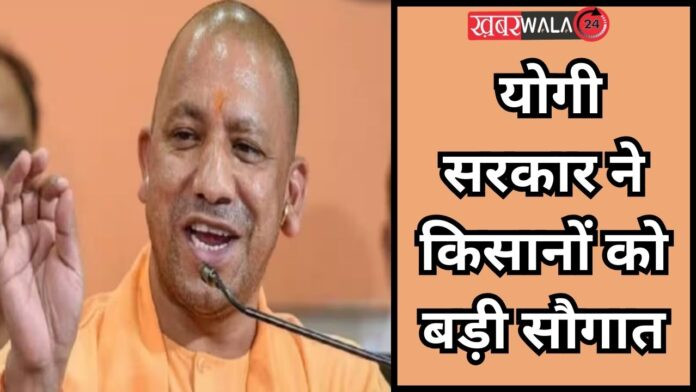 Yogi Cabinet