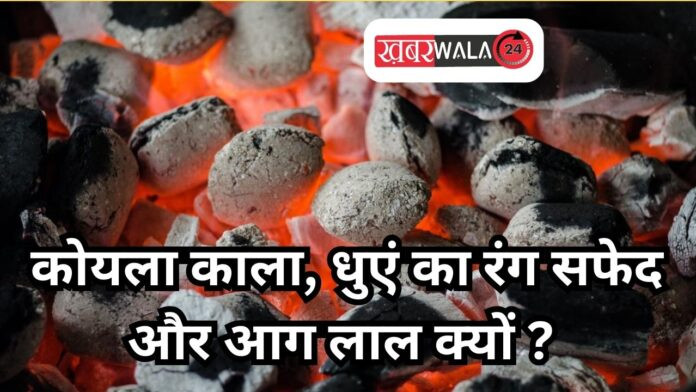 Coal