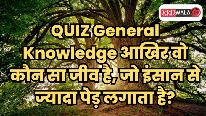 QUIZ General Knowledge