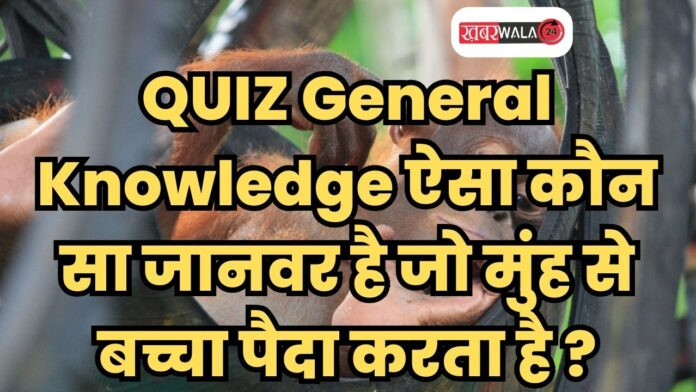 QUIZ General Knowledge