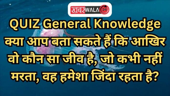 QUIZ General Knowledge