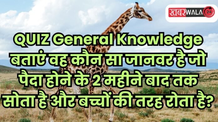QUIZ General Knowledge