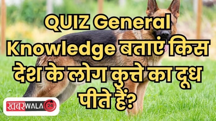 QUIZ General Knowledge