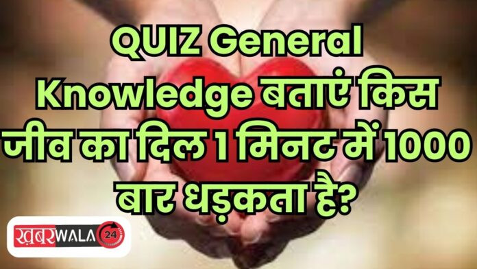 QUIZ General Knowledge