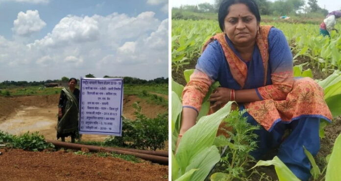 Millet Farming