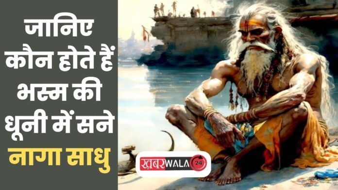 Naga Sadhu
