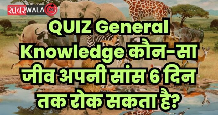 QUIZ General Knowledge