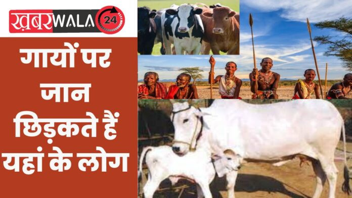 Give Life to Cows