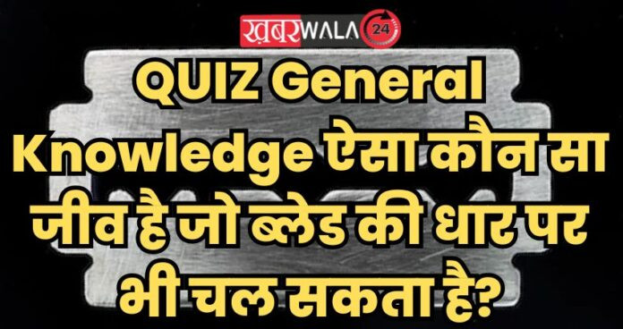 QUIZ General Knowledge