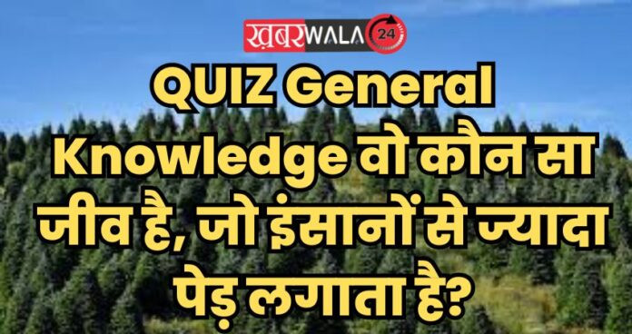 QUIZ General Knowledge