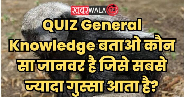 QUIZ General Knowledge