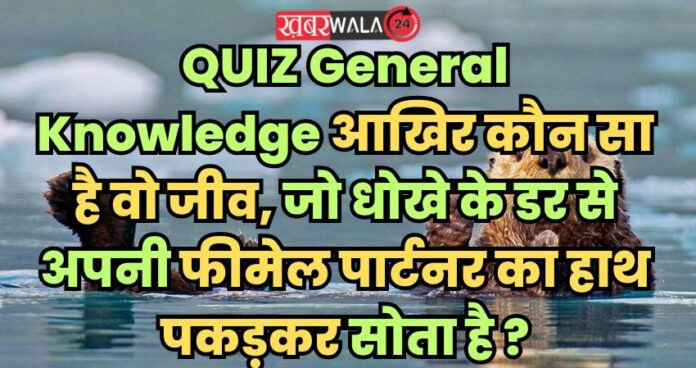 QUIZ General Knowledge
