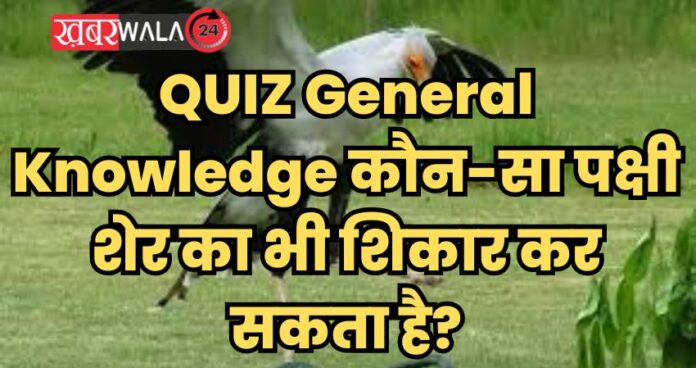 QUIZ General Knowledge