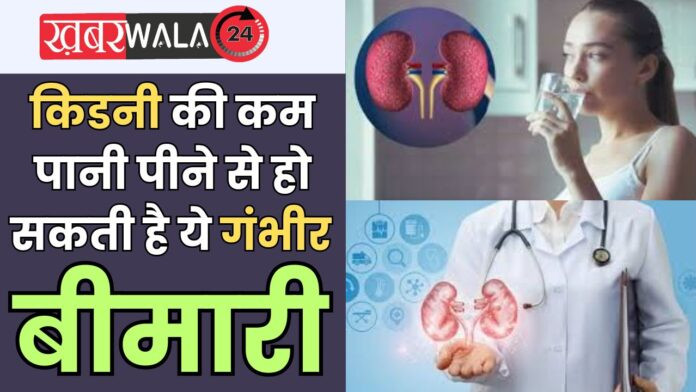 Kidney