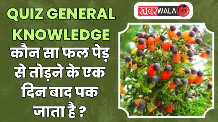 QUIZ General Knowledge
