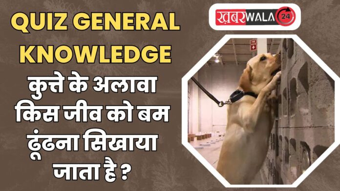 QUIZ General Knowledge