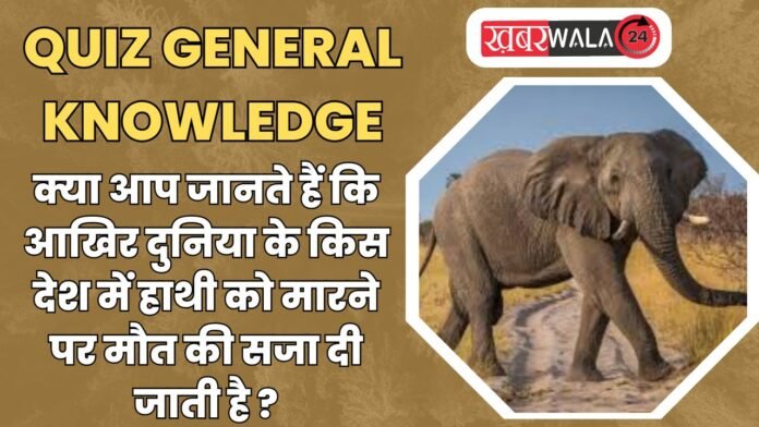 QUIZ General Knowledge