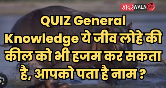 QUIZ General Knowledge