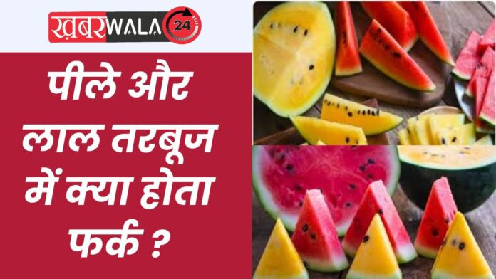 Red And Yellow Watermelon