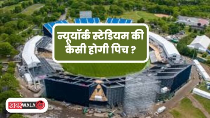 T20 World Cup
