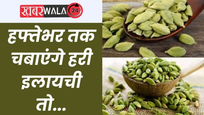 Cardamom Chew Benefits