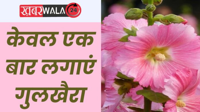 Gulkhaira Farming