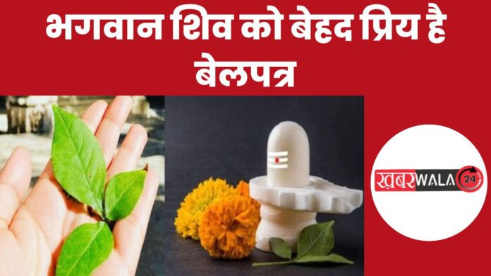 Belpatra in Shiva Puja