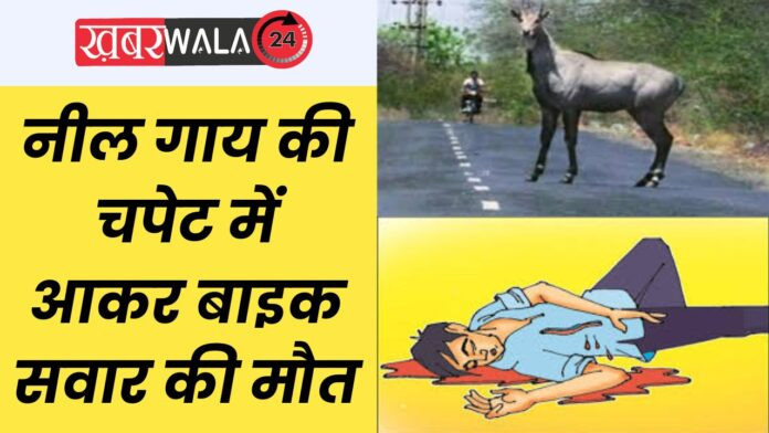 Hapur