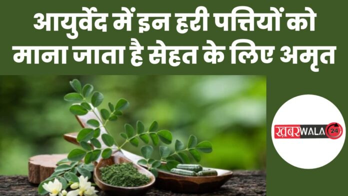 Moringa Health Benefits