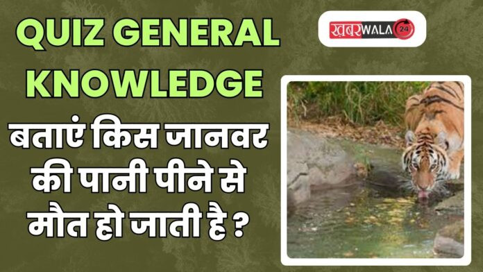 QUIZ General Knowledge