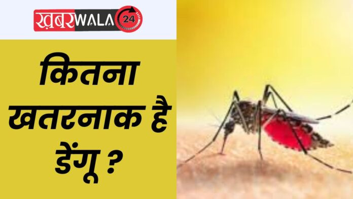 Dengue Alert