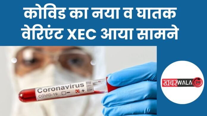 New Covid Variant XEC