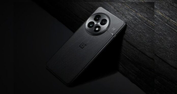 OnePlus 13 Smartphone