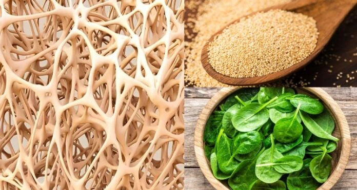 Increase Calcium For Strong Bones