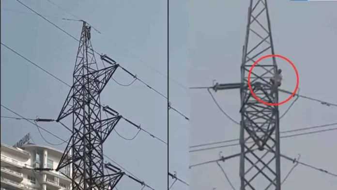 Man Climbs Electric Tower In Noida