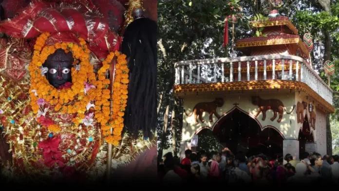 Gadhimai Mandir Nepal Blood Festival