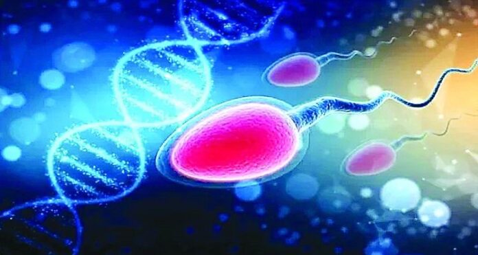 Sperm Race